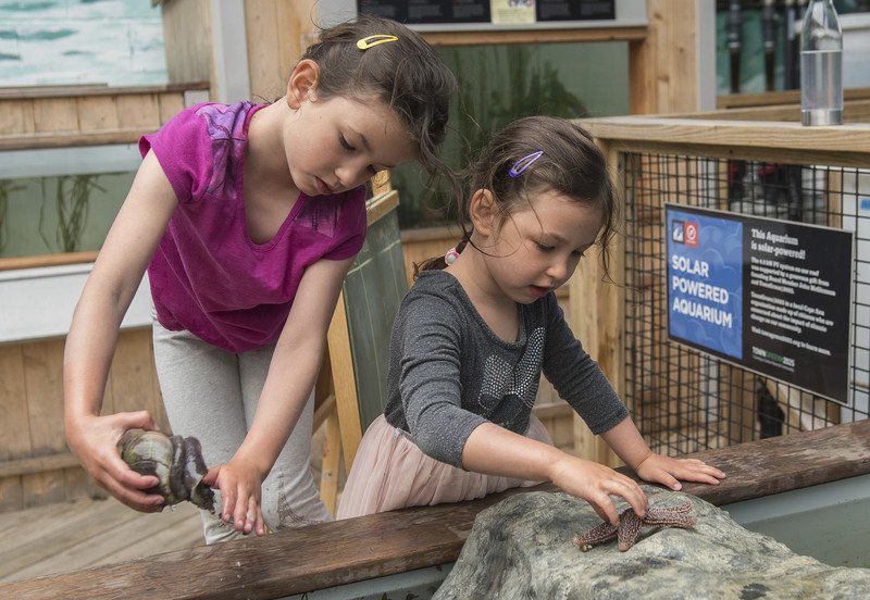 Maritime Heritage Day floats out a boatload of seaside fun